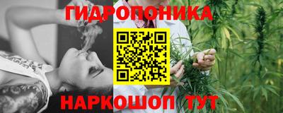 прущий лед Будённовск