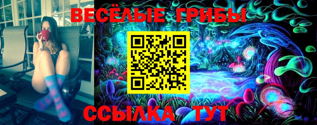 Галлюциногенные грибы Cubensis  Вход с VPN  Семилуки 