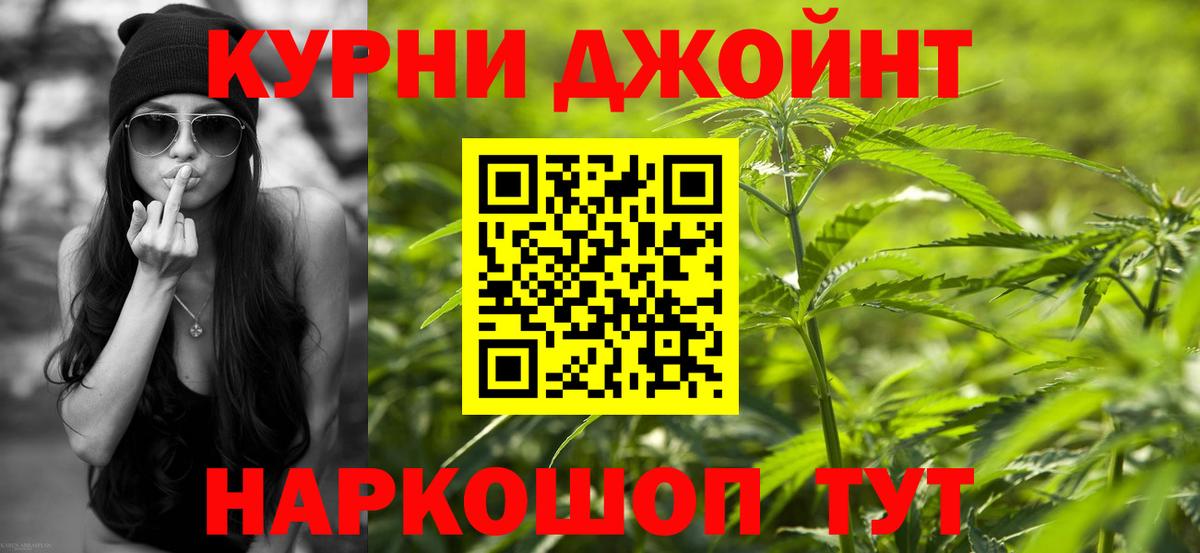 Конопля сатива Семилуки